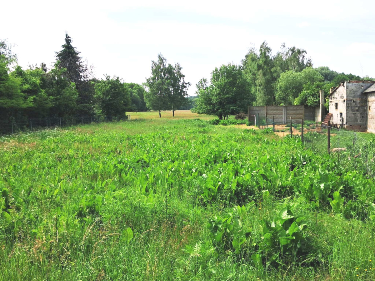 Sprzedam dużą działkę budowlano-rolną przy lesie. -
mazowieckie Zdjęcie nr 1