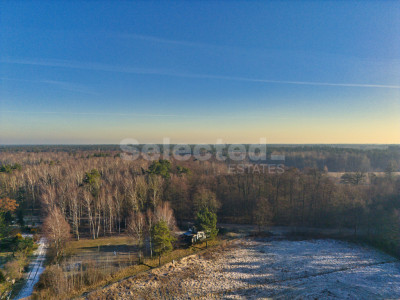Działka budowlana z WZ przy lesie  Pokrzywnica - Pokrzywnica  -
Wielkopolskie Zdjęcie nr 14