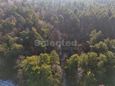 Działka budowlana z WZ przy lesie  Pokrzywnica - Pokrzywnica  -
Wielkopolskie Zdjęcie nr 8