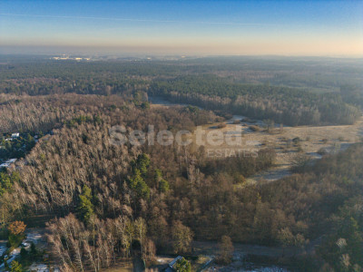 Działka budowlana z WZ przy lesie  Pokrzywnica - Pokrzywnica  -
Wielkopolskie Zdjęcie nr 9