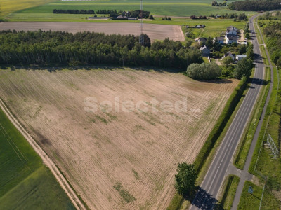 Ustawne działki 600 m od Jeziora Dymaczewskiego - Łódź  -
Wielkopolskie Zdjęcie nr 11