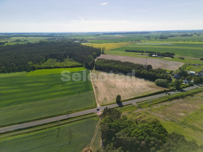 Ustawne działki 600 m od Jeziora Dymaczewskiego - Łódź  -
Wielkopolskie Zdjęcie nr 4