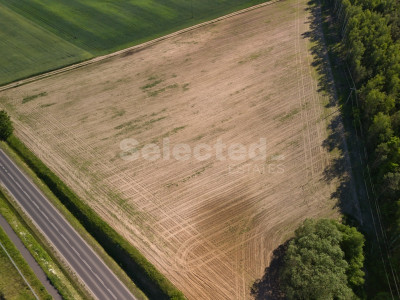 Ustawne działki 600 m od Jeziora Dymaczewskiego - Łódź  -
Wielkopolskie Zdjęcie nr 9