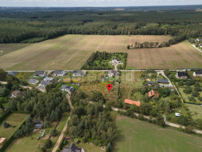 Piękna działka w Puszczy Zielonce - Kliny  - Wielkopolskie
