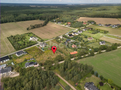 Piękna działka w Puszczy Zielonce - Kliny  -
Wielkopolskie Zdjęcie nr 2