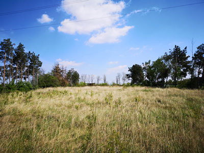 KOMPLEKS 3 DZIAŁEK OBOK JEZIORA POD OSIEDLE DOMÓW -
wielkopolskie Zdjęcie nr 17