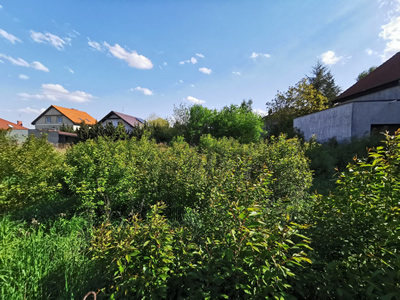USTAWNA DZIAŁKA W ZALASEWIE, MIEJSCOWY PLAN - ZABUDOWA JEDNORODZINA, MEDIA -
wielkopolskie Zdjęcie nr 6