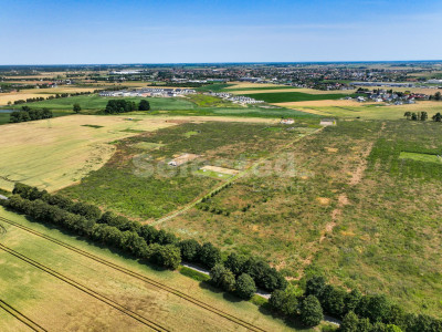 Ustawna działka z miejscowym planem - Gwiazdowo   -
Wielkopolskie Zdjęcie nr 4