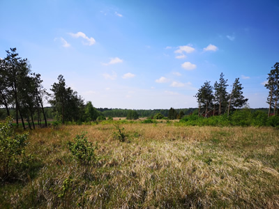 KOMPLEKS 3 DZIAŁEK OBOK JEZIORA POD OSIEDLE DOMÓW -
wielkopolskie Zdjęcie nr 15
