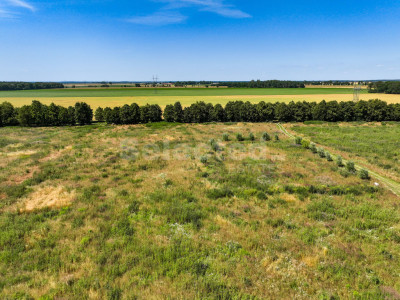 Działka z miejscowym planem możliwa z szeregowa - Gwiazdowo   -
Wielkopolskie Zdjęcie nr 2