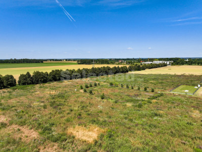 Działka z miejscowym planem możliwa z szeregowa - Gwiazdowo   -
Wielkopolskie Zdjęcie nr 6