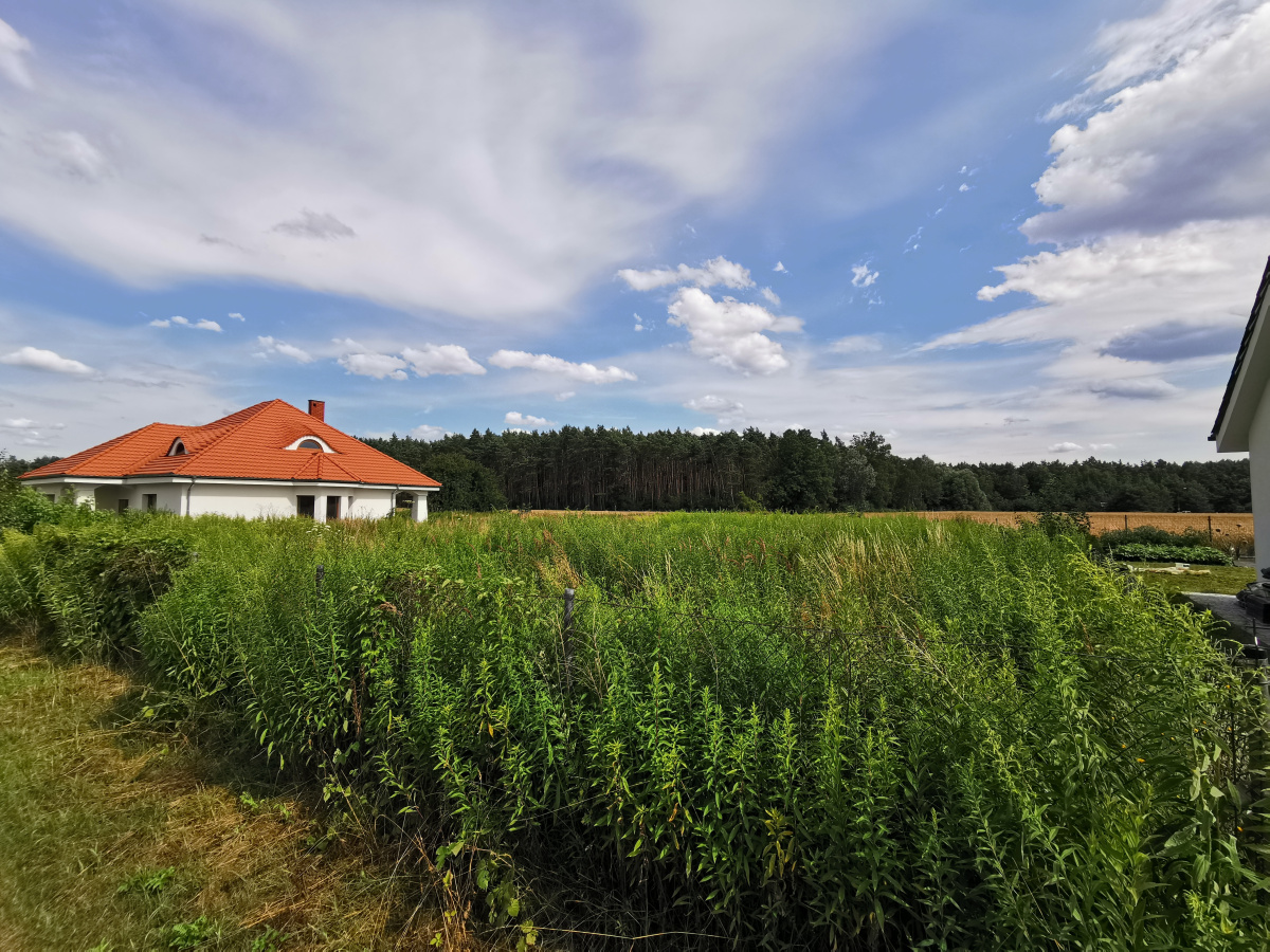 DZIAŁKA BLISKO LASU Z WYDANYM PnB -
wielkopolskie Zdjęcie nr 1