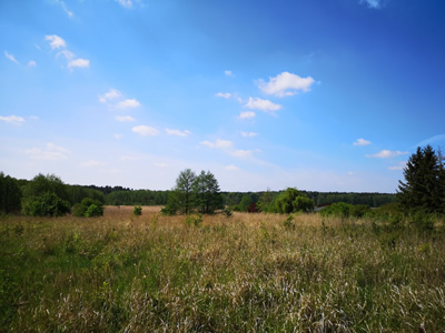 KOMPLEKS 3 DZIAŁEK OBOK JEZIORA POD OSIEDLE DOMÓW -
wielkopolskie Zdjęcie nr 18