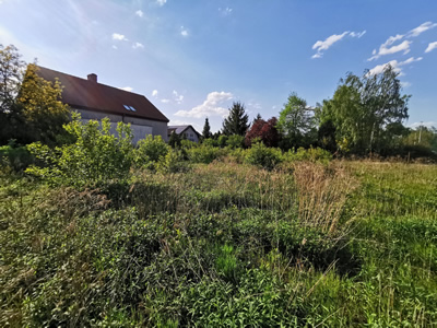 USTAWNA DZIAŁKA W ZALASEWIE, MIEJSCOWY PLAN - ZABUDOWA JEDNORODZINA, MEDIA -
wielkopolskie Zdjęcie nr 2