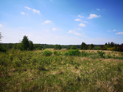 KOMPLEKS 3 DZIAŁEK OBOK JEZIORA POD OSIEDLE DOMÓW -
wielkopolskie Zdjęcie nr 16