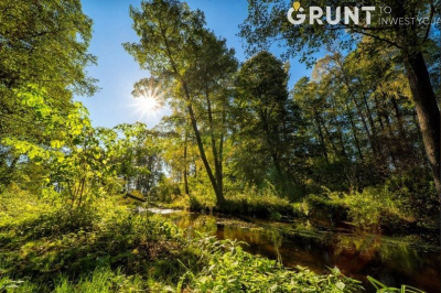 Kompleks działek budowlanych na Kurpiach Białych, bezpośrednio nad rzeką -
Mazowieckie Zdjęcie nr 8