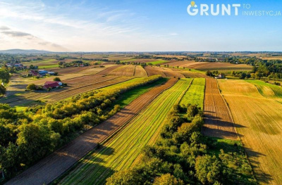 Kompleks działek budowlanych w granicach miasta powiatowego, w malowniczym krajobrazie -
Świętokrzyskie Zdjęcie nr 6