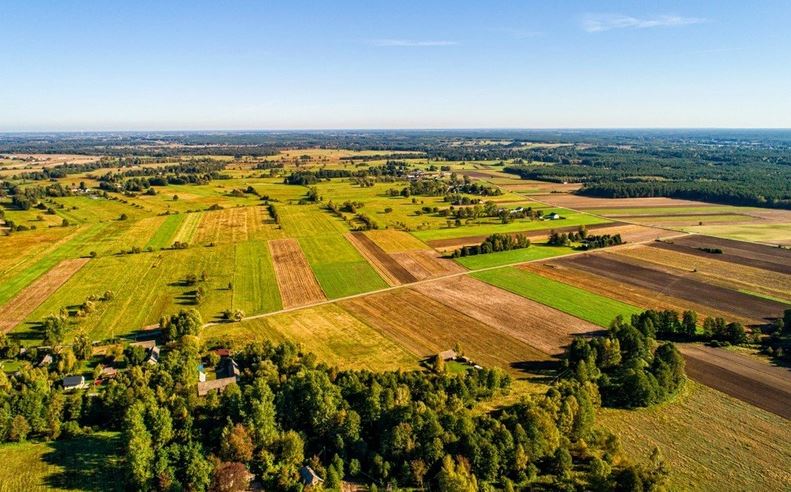 Kompleks działek budowlanych na Kurpiach Białych, bezpośrednio nad rzeką -
Mazowieckie Zdjęcie nr 1
