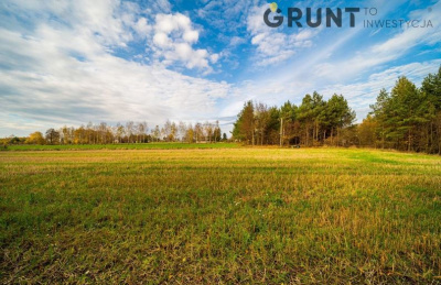 Kompleks działek budowlanych w bezpośrednim sąsiedztwie rzeki Narew -
Mazowieckie Zdjęcie nr 8