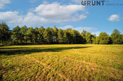 Kompleks działek budowlanych na Kurpiach Białych, bezpośrednio nad rzeką -
Mazowieckie Zdjęcie nr 9