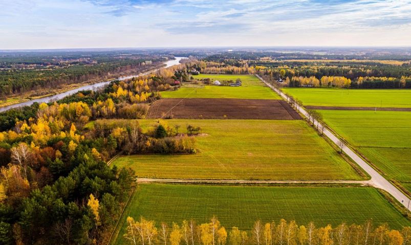 Kompleks działek budowlanych w bezpośrednim sąsiedztwie rzeki Narew -
Mazowieckie Zdjęcie nr 1