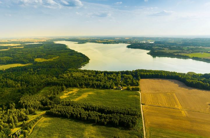 Duże działki budowlane z komfortowym dostępem do Jeziora Dąbrowa Wielka, teren kameralnie zadrzewiony, dojazd S7 -
warmińsko-mazurskie Zdjęcie nr 1