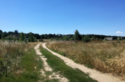 Ostatnia działka na nowym osiedlu w pobliżu lasu i jezior -
Wielkopolskie Zdjęcie nr 4