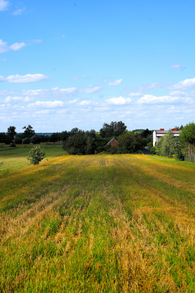 Atrakcyjna działka rolno budowlana w Galewie, powiat Turek. -
wielkopolskie Zdjęcie nr 2