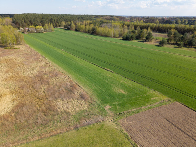 2 działki  budowlane Kliszów -
podkarpackie Zdjęcie nr 8