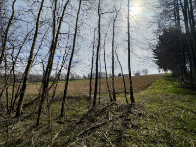 Widokowa działka -
małopolskie Zdjęcie nr 10