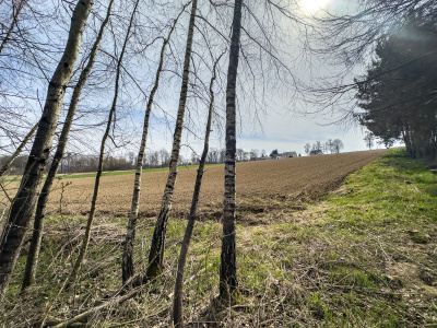 Widokowa działka -
małopolskie Zdjęcie nr 9