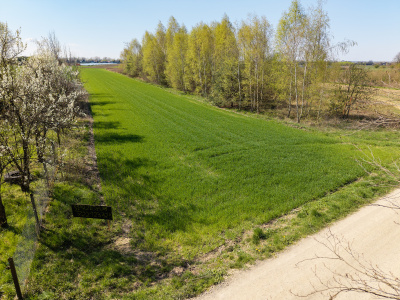 2 działki  budowlane Kliszów -
Podkarpackie Zdjęcie nr 2