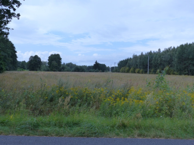 Działka rolna siedliskowa -
Kujawsko Pomorskie Zdjęcie nr 3