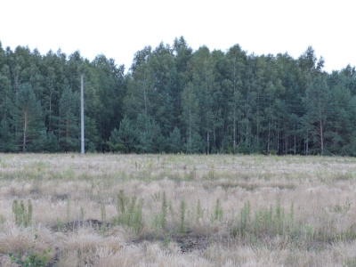 Działka rolna siedliskowa -
kujawsko-pomorskie Zdjęcie nr 2