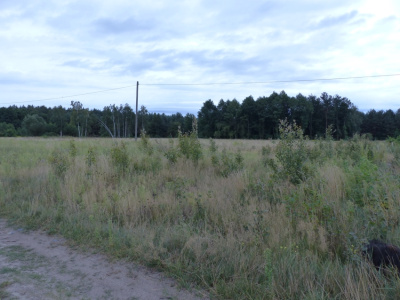 Działka rolna siedliskowa -
kujawsko-pomorskie Zdjęcie nr 4