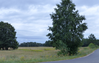 Działka rolna siedliskowa - kujawsko-pomorskie