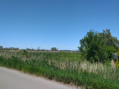 Działka rolna - Gdańsk   -
pomorskie Zdjęcie nr 5