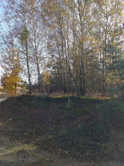 Działka Pod Zabudowę Jednorodzinną -  Trzebuń  -
pomorskie Zdjęcie nr 2