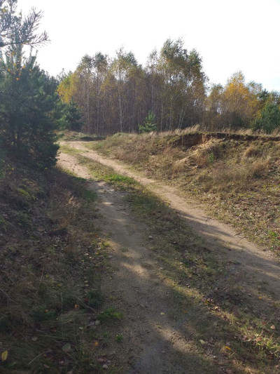 Działka Pod Zabudowę Jednorodzinną -  Trzebuń  -
pomorskie Zdjęcie nr 3