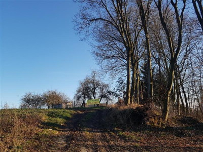 Działki inwestycyjne - Tymień -
Zachodniopomorskie Zdjęcie nr 5