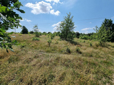 Na sprzedaż działka inwestycyjna - Rawa Mazowiecka -
łódzkie Zdjęcie nr 2