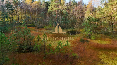 2Urokliwe działki Blisko jeziora Inwestycja Kamień - Kamień  -
POMORSKIE Zdjęcie nr 5