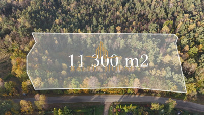 2Urokliwe działki Blisko jeziora Inwestycja Kamień - Kamień  -
POMORSKIE Zdjęcie nr 7