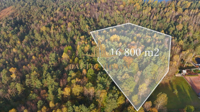 2Urokliwe działki Blisko jeziora Inwestycja Kamień - Kamień  -
POMORSKIE Zdjęcie nr 8