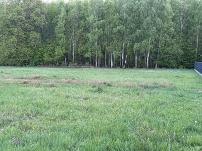 Okazja! Cicha, spokojna działka budowlana z widokiem na prywatny las - Mazowieckie