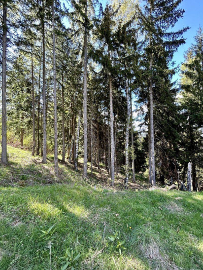 Na sprzedaż działka budowlana - Karpacz -
dolnośląskie Zdjęcie nr 4