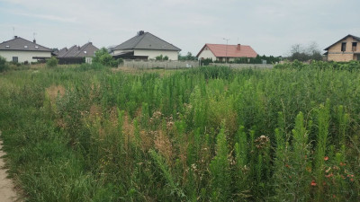 Na sprzedaż działka budowlana - Leszno -
wielkopolskie