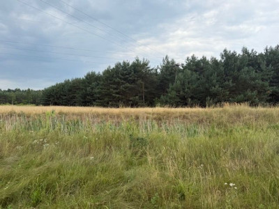 Na sprzedaż działka przemysłowa - Leszno -
wielkopolskie Zdjęcie nr 2