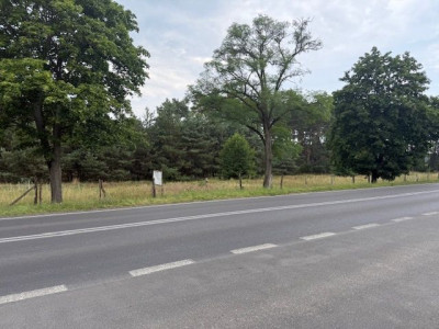 Na sprzedaż działka przemysłowa - Leszno -
wielkopolskie Zdjęcie nr 5