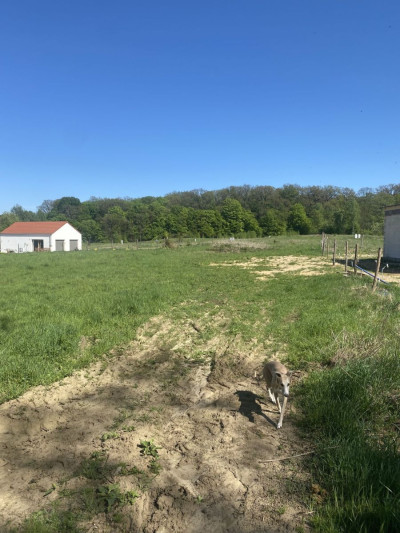 Na sprzedaż działka budowlana - Leszno -
wielkopolskie Zdjęcie nr 3